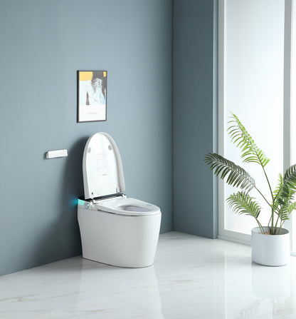 Smart Toilet