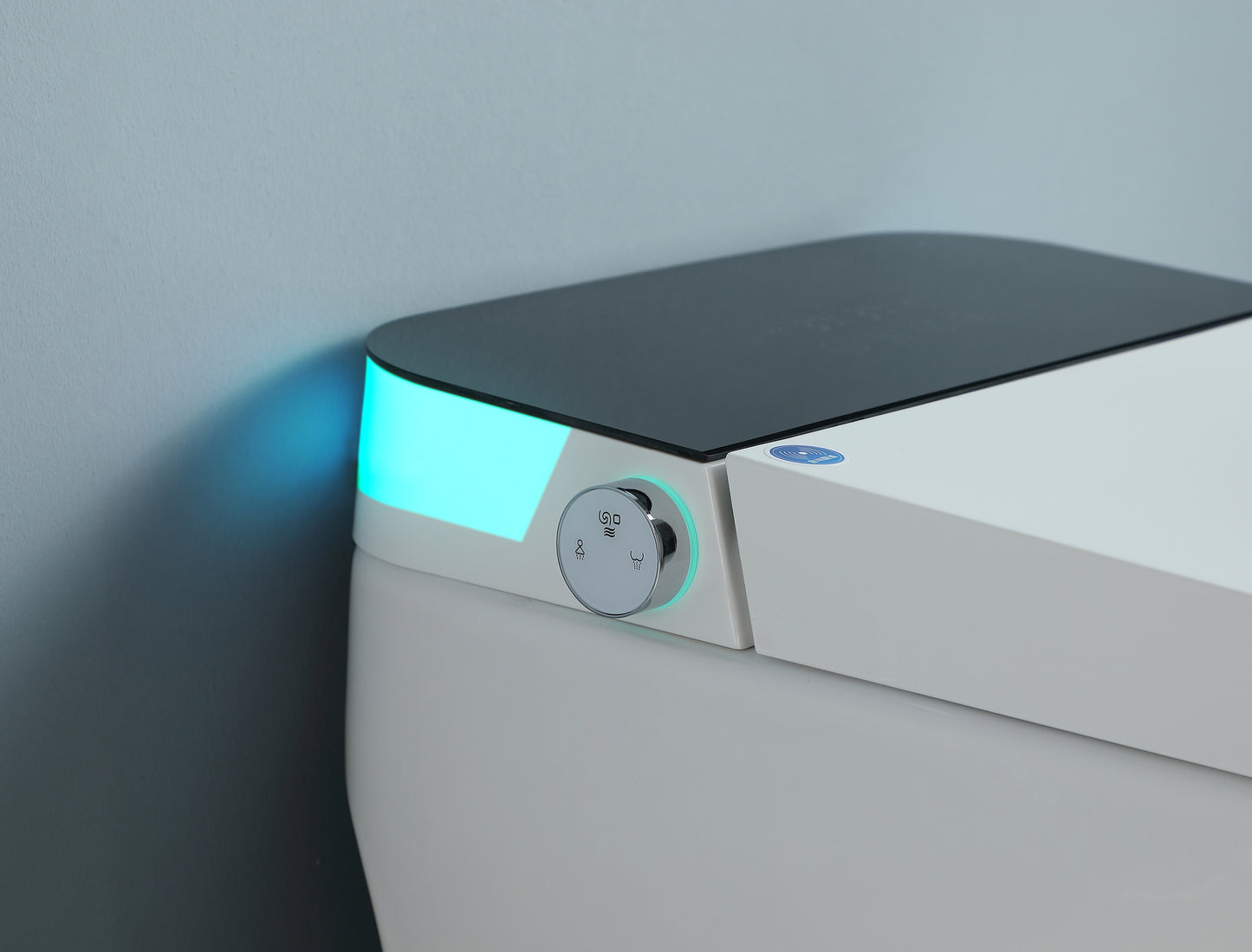 Smart Toilet