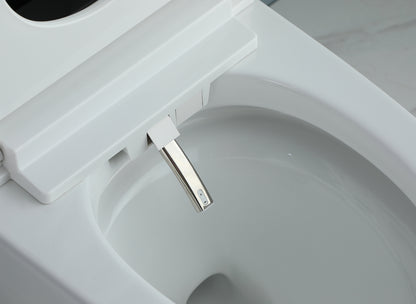 Smart Toilet