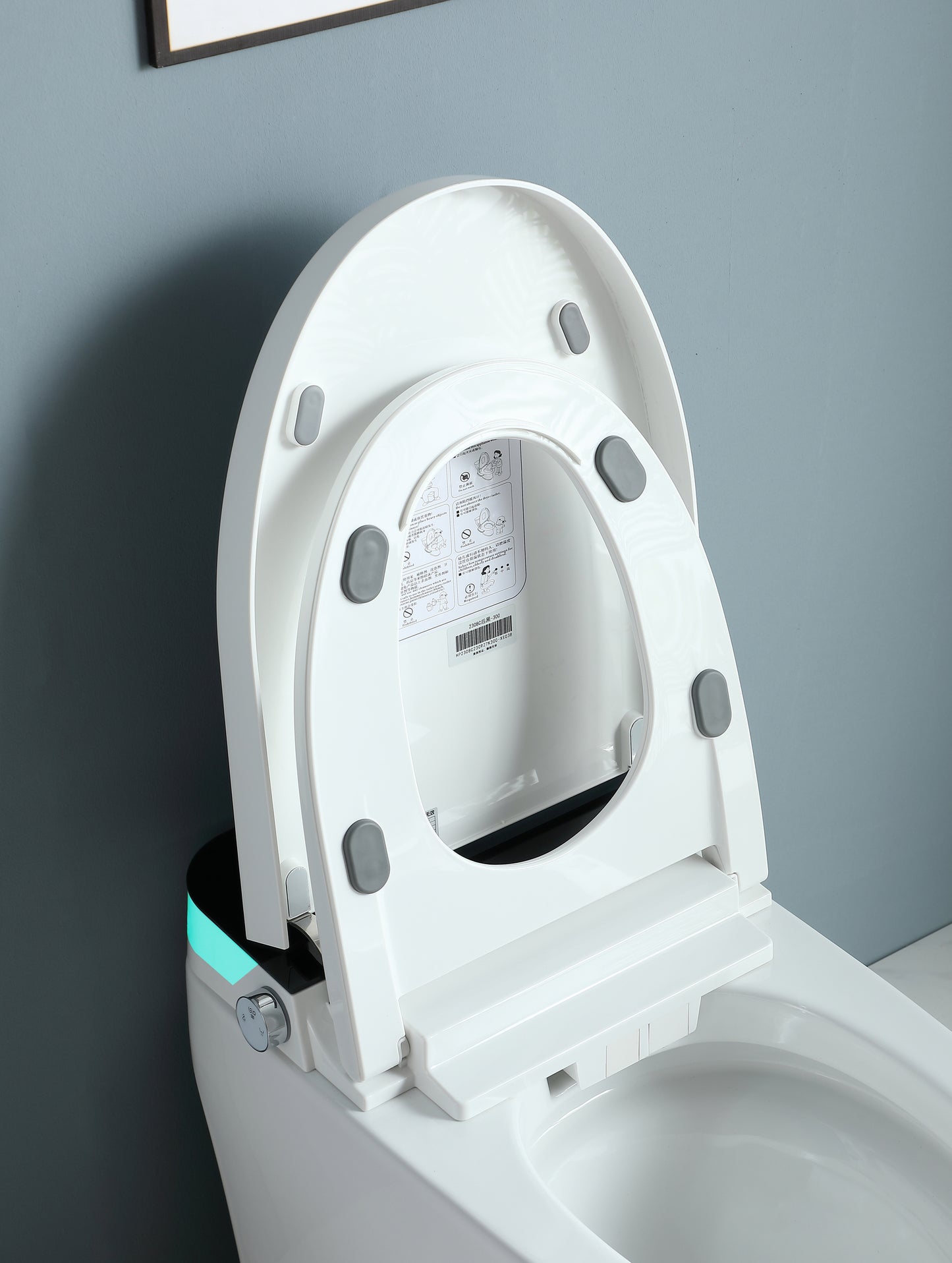 Smart Toilet