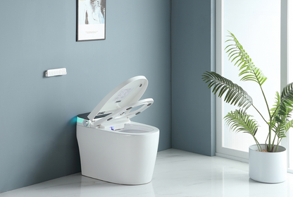 Smart Toilet